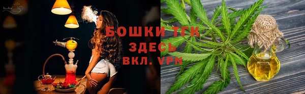 винт Бородино