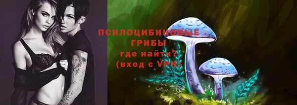 винт Бородино