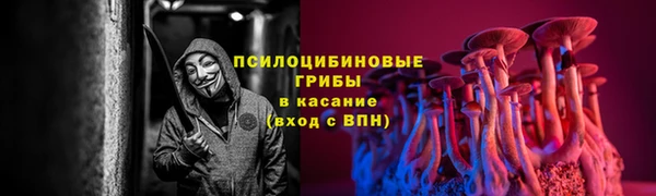 ALPHA-PVP Бугульма