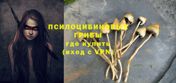 винт Бородино