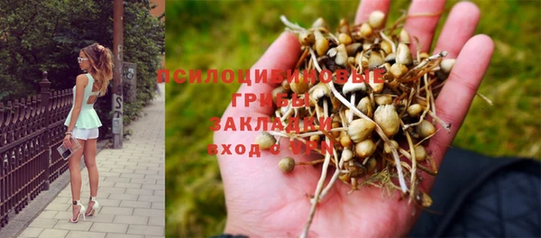 амфетамин Богданович