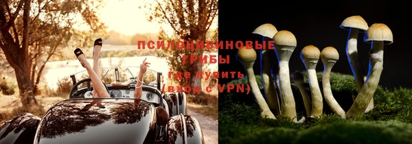 винт Бородино