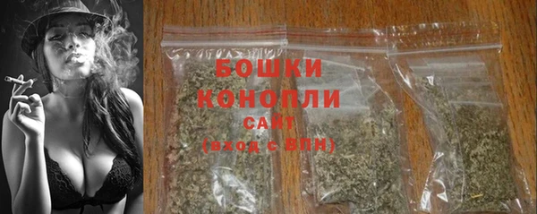 винт Бородино